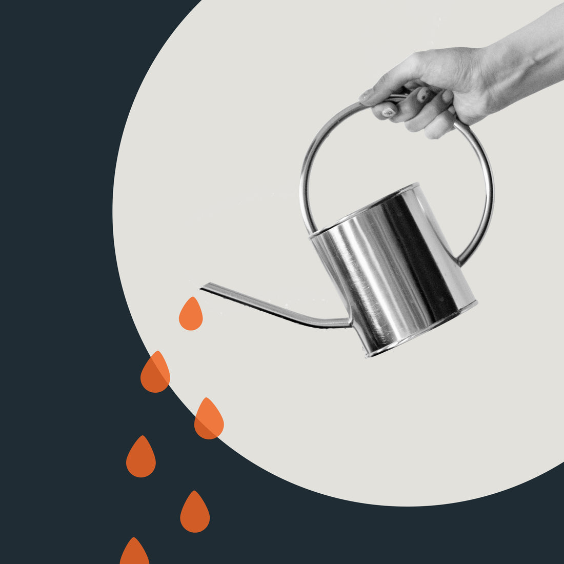 5 Reasons To Partner With a Digital Agency